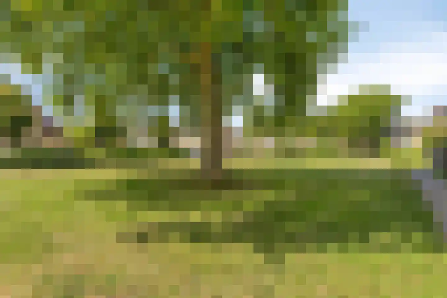 Gastakker 162 Breda thumbnail 47