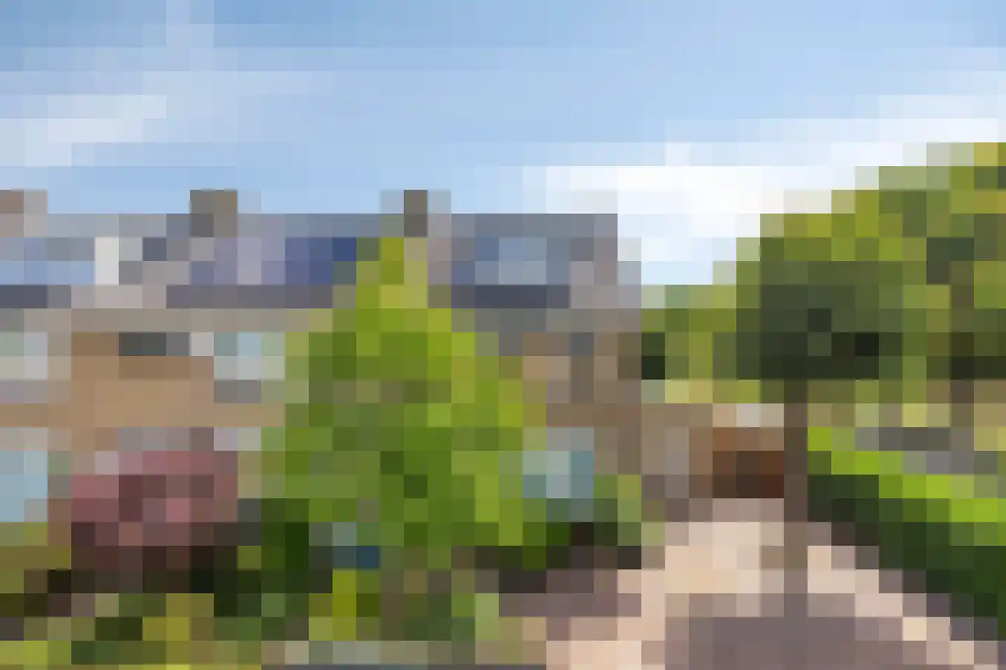 Gastakker 162 Breda thumbnail 50