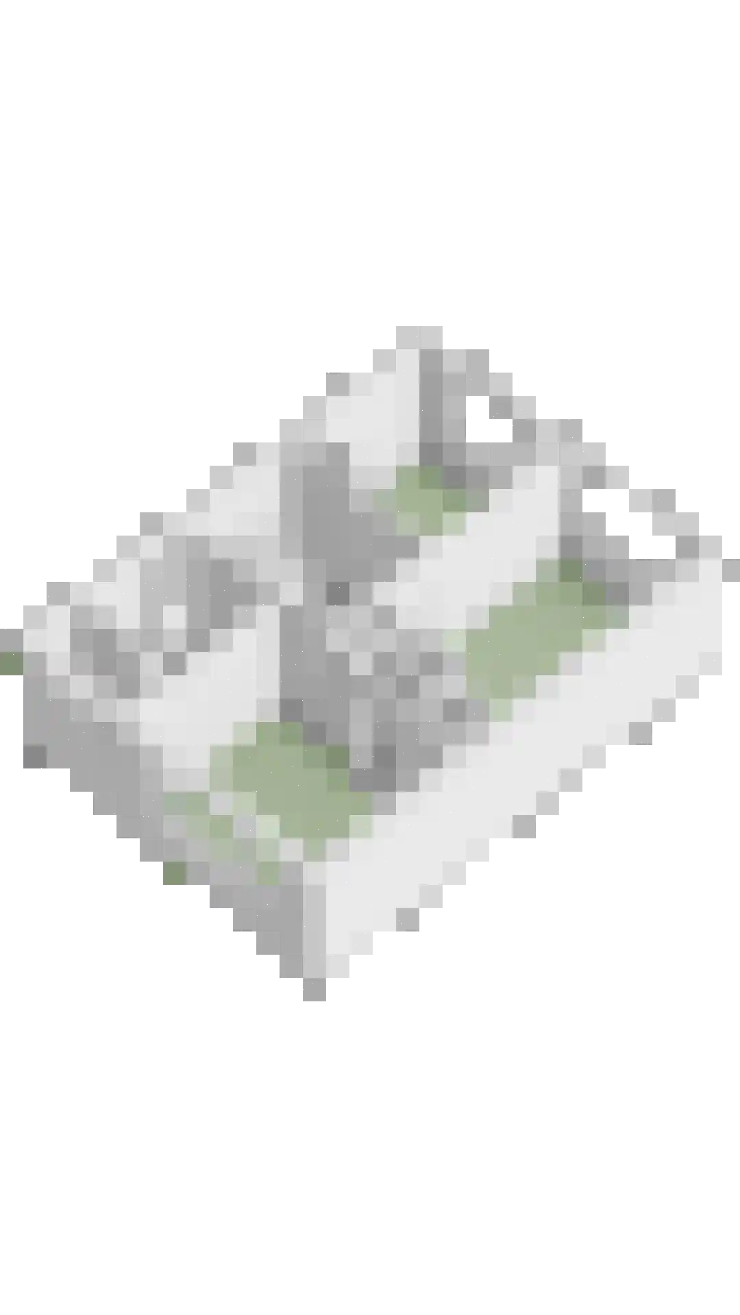 Gastakker 162 Breda thumbnail 52