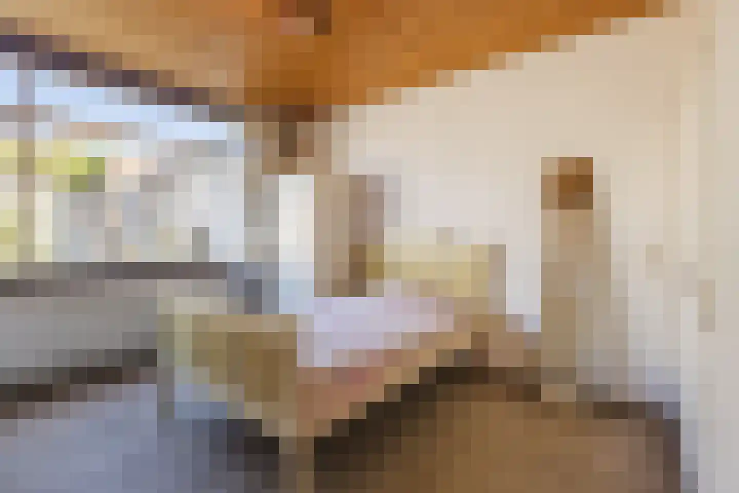Gastakker 43 Breda thumbnail 22