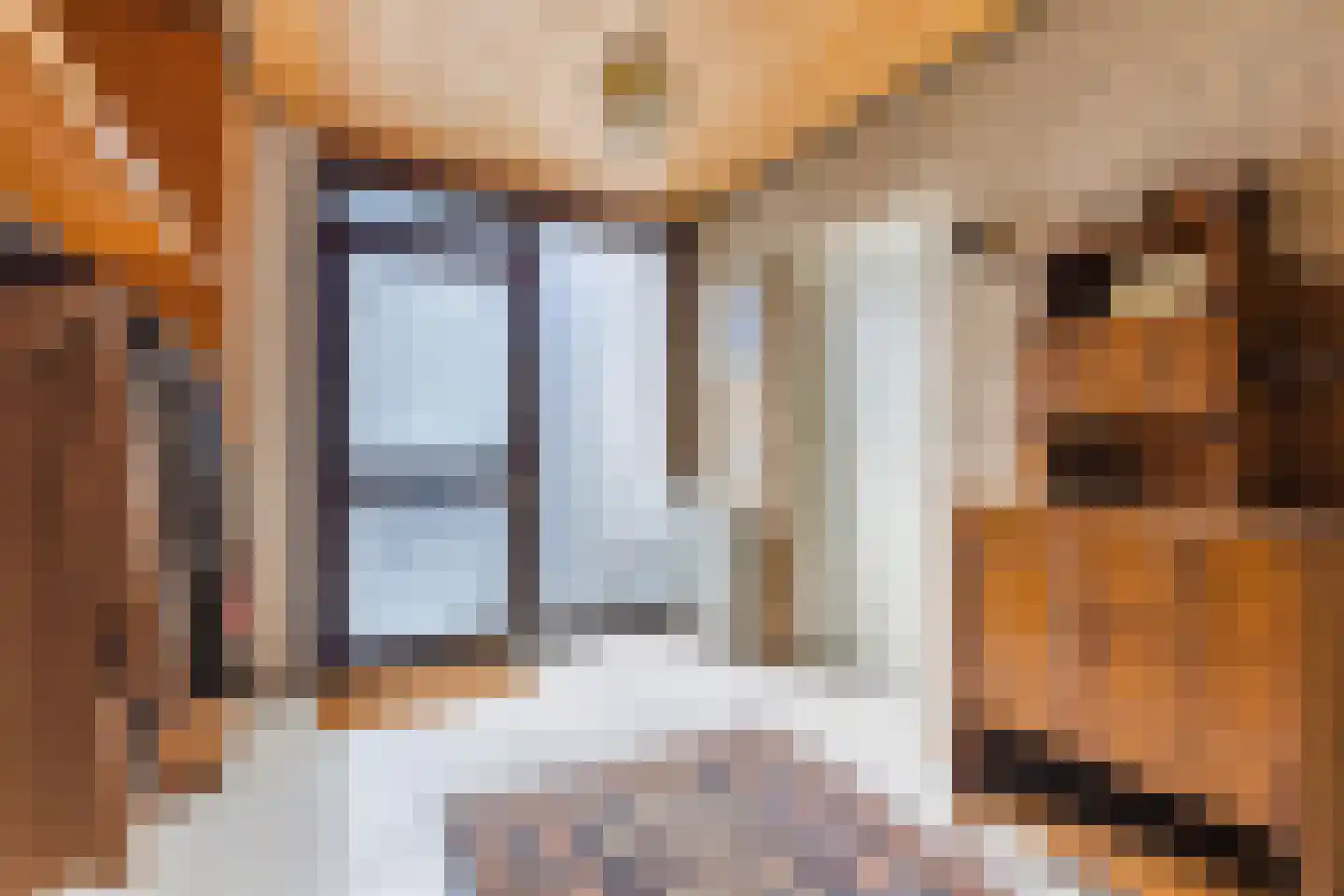Gastakker 43 Breda thumbnail 6