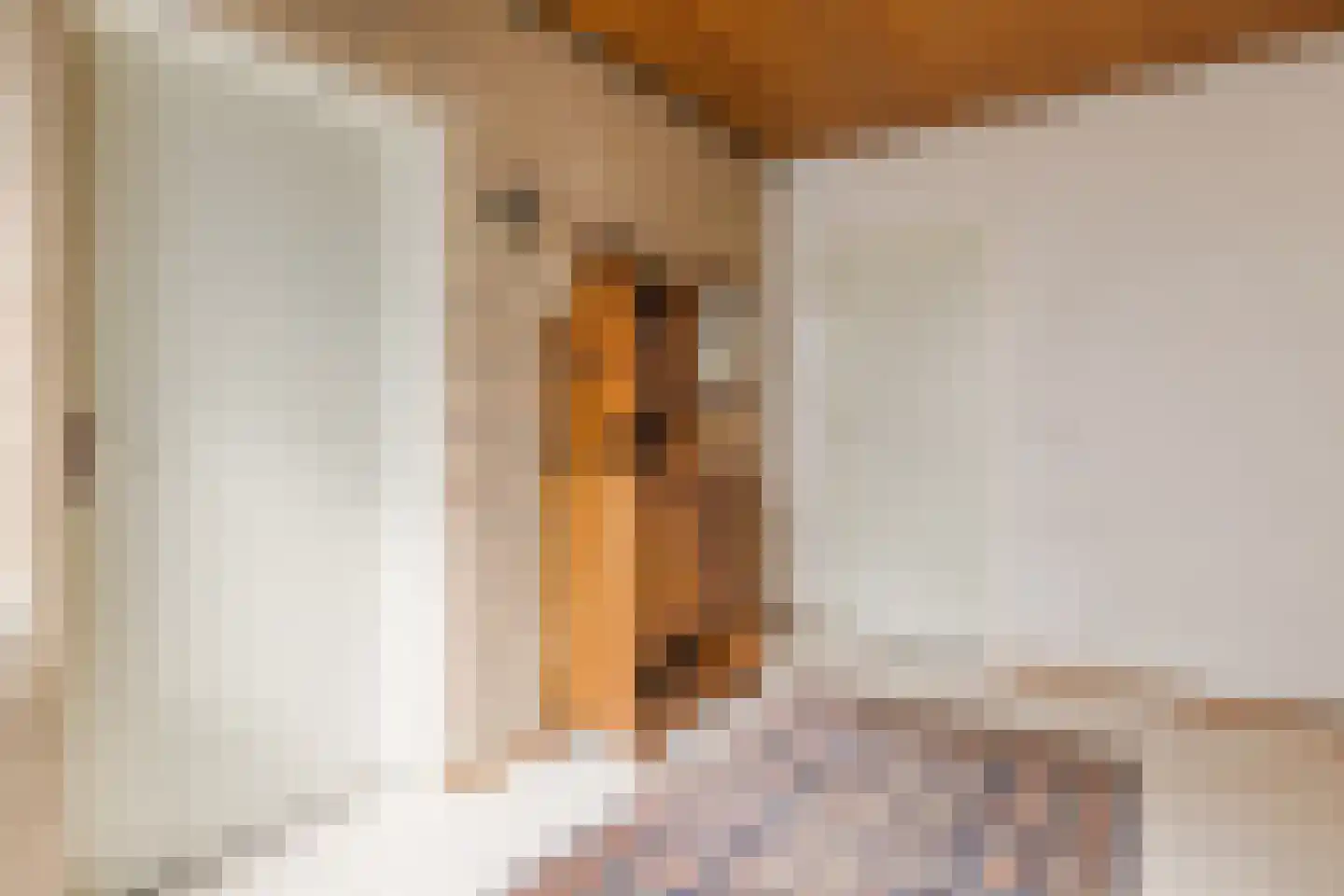 Gastakker 43 Breda thumbnail 8