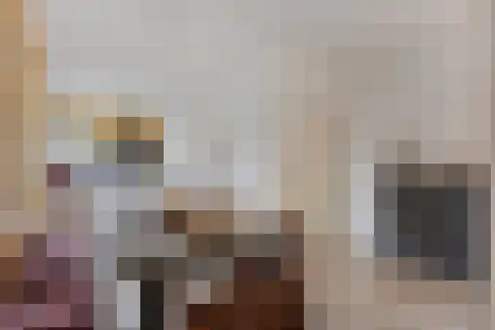 Gastakker 5 Breda thumbnail 11