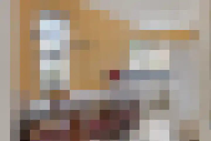 Gastakker 5 Breda thumbnail 12