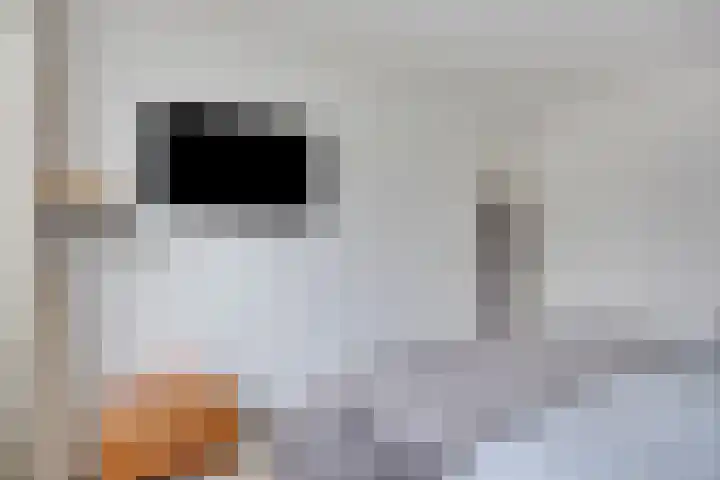 Gastakker 5 Breda thumbnail 16