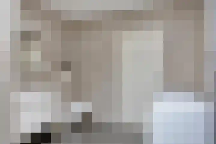 Gastakker 5 Breda thumbnail 22