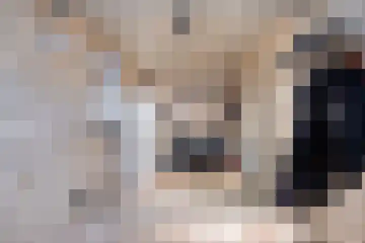 Gastakker 5 Breda thumbnail 23
