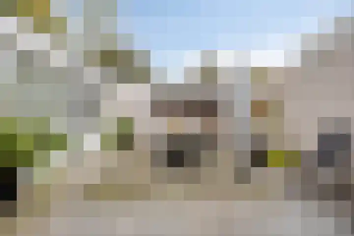Gastakker 5 Breda thumbnail 24