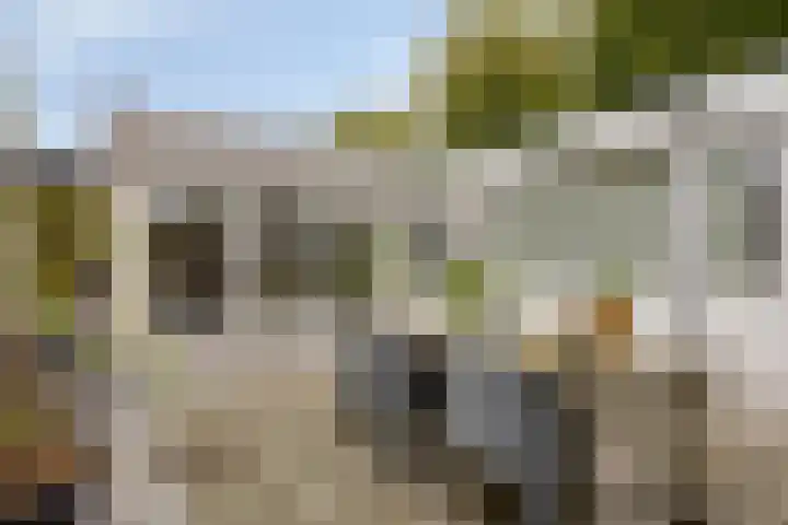 Gastakker 5 Breda thumbnail 25