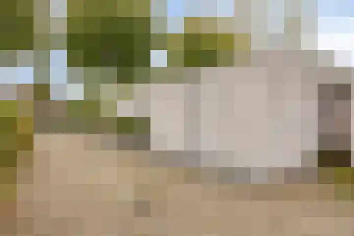 Gastakker 5 Breda thumbnail 27