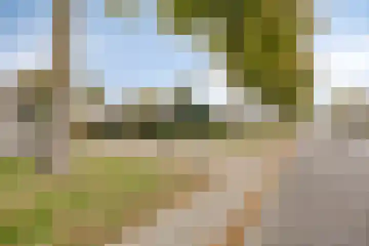 Gastakker 5 Breda thumbnail 28