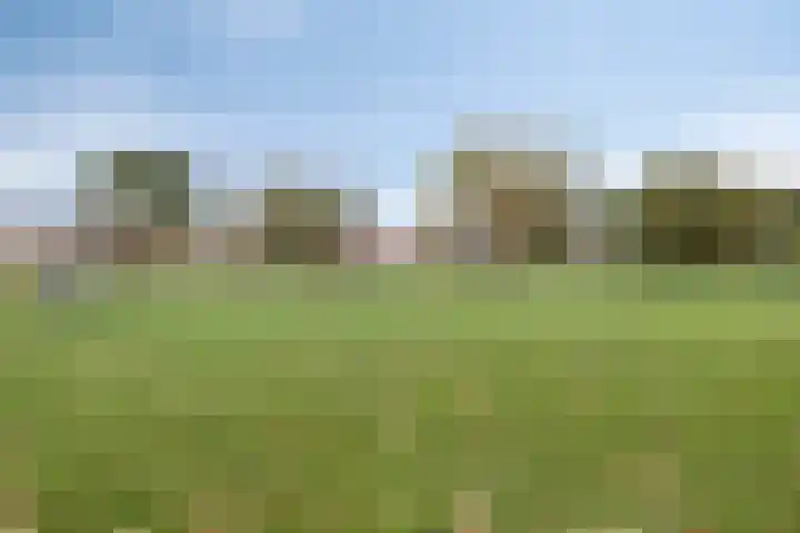Gastakker 5 Breda thumbnail 29