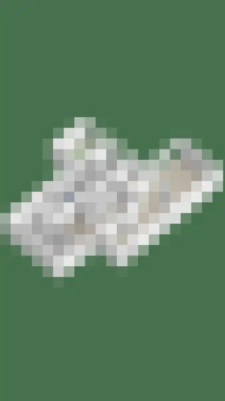 Gastakker 5 Breda thumbnail 31