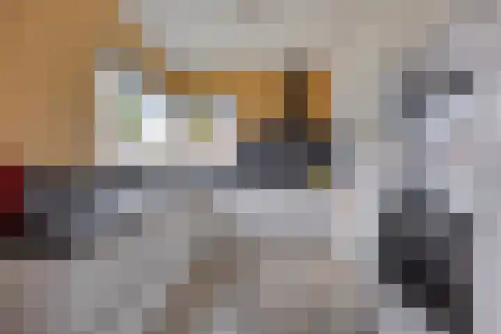Gastakker 5 Breda thumbnail 4