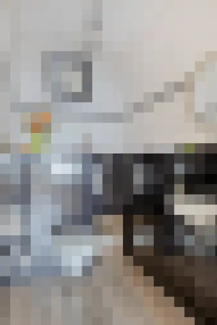 Gastakker 5 Breda thumbnail 6