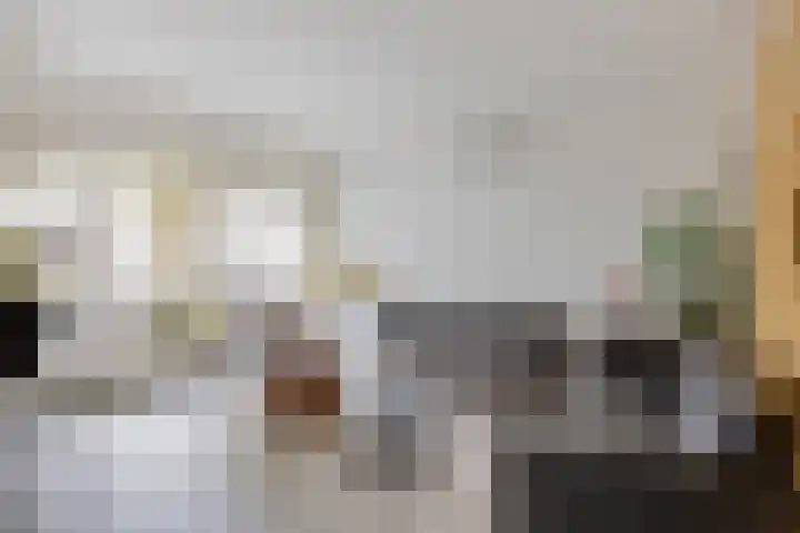 Gastakker 5 Breda thumbnail 8