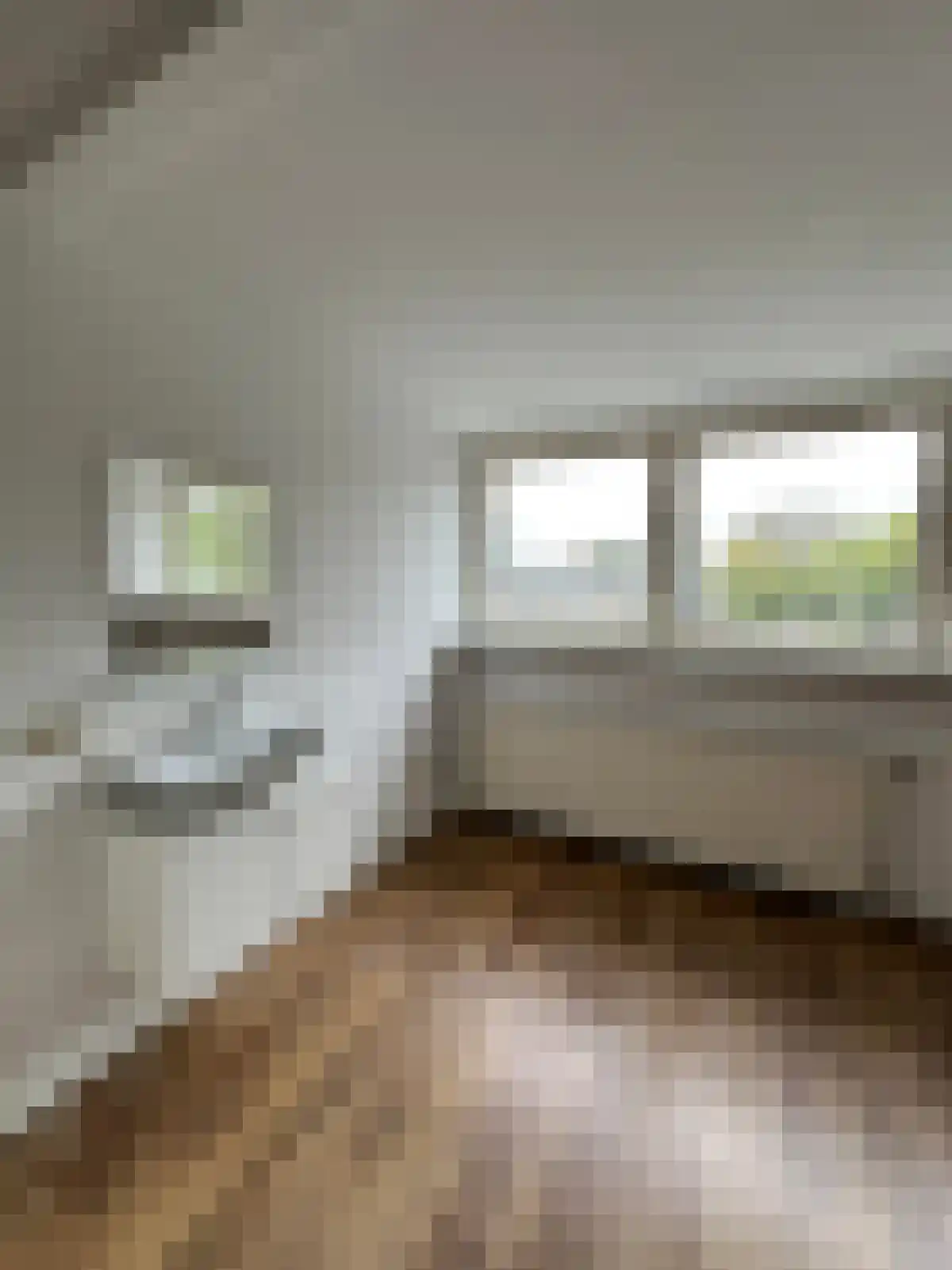 Gastakker Breda thumbnail 5