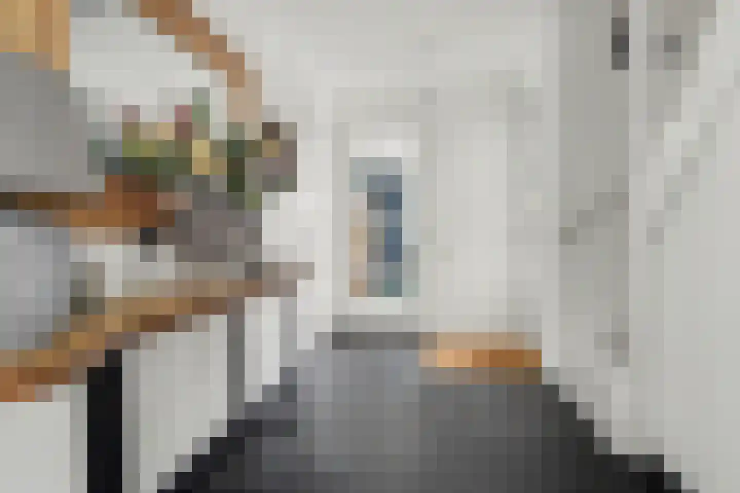 Gastelaar 12 Alphen thumbnail 11