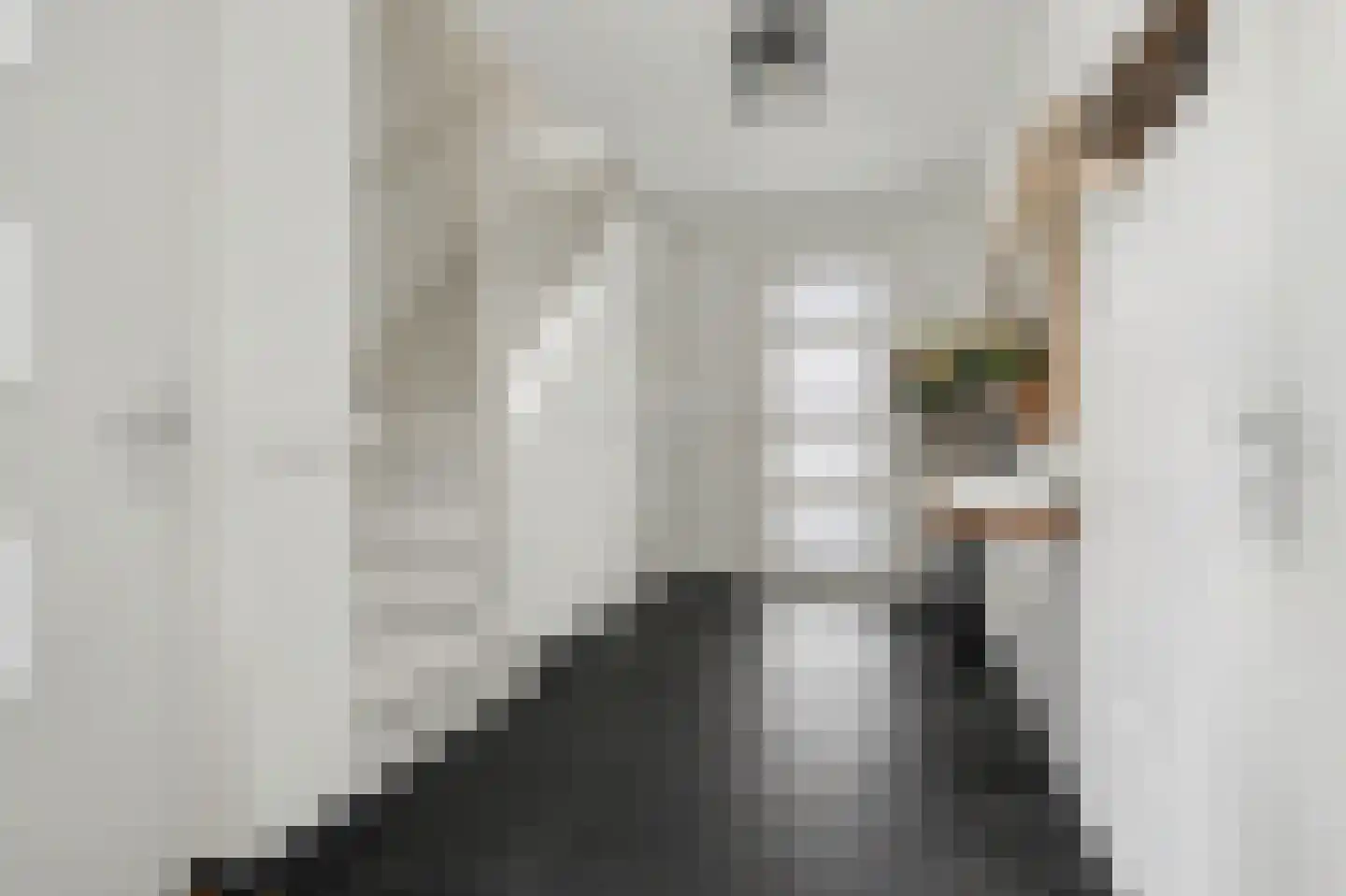 Gastelaar 12 Alphen thumbnail 12