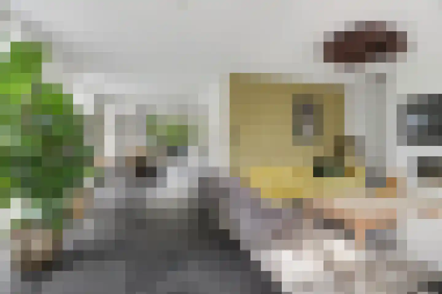 Gastelaar 12 Alphen thumbnail 13