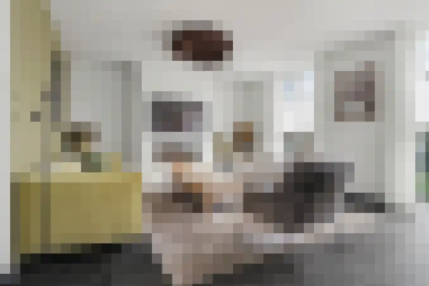 Gastelaar 12 Alphen thumbnail 15
