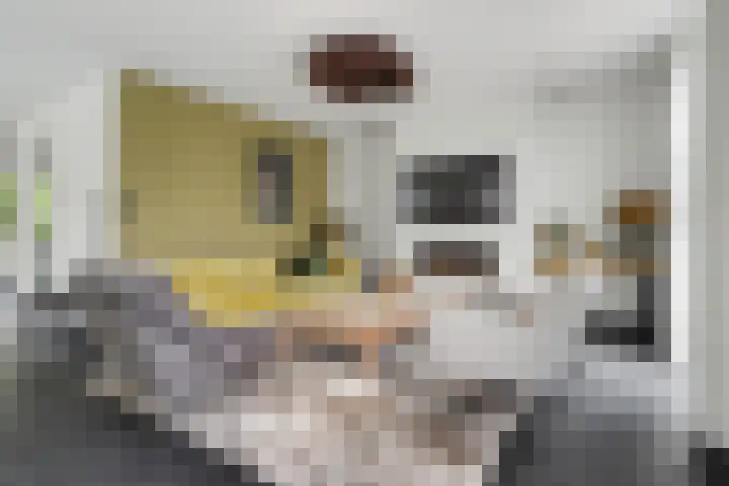 Gastelaar 12 Alphen thumbnail 16