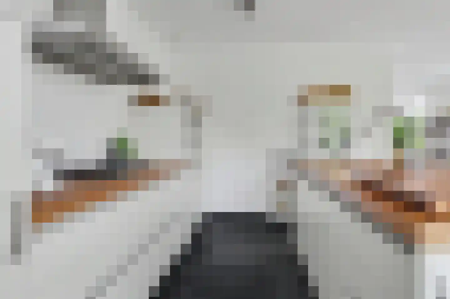 Gastelaar 12 Alphen thumbnail 25