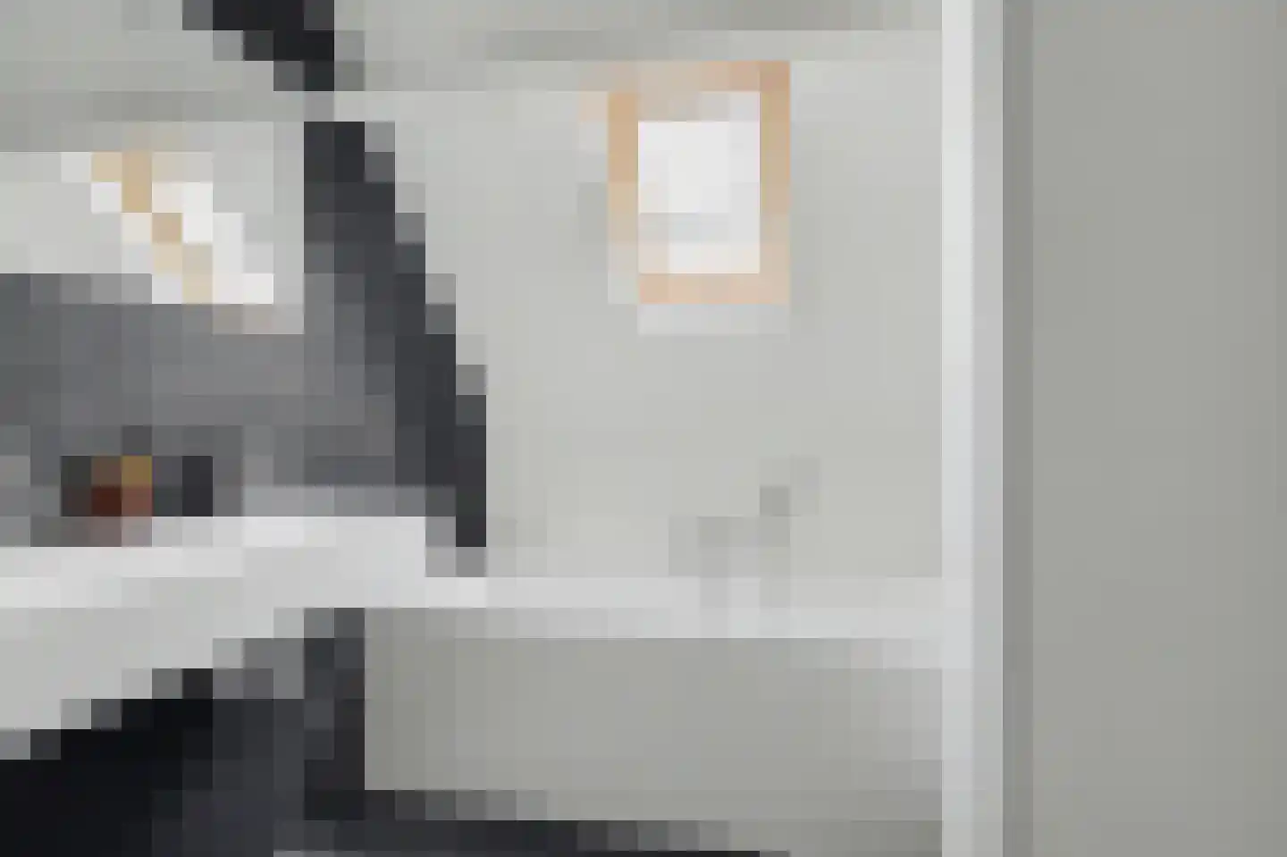 Gastelaar 12 Alphen thumbnail 37