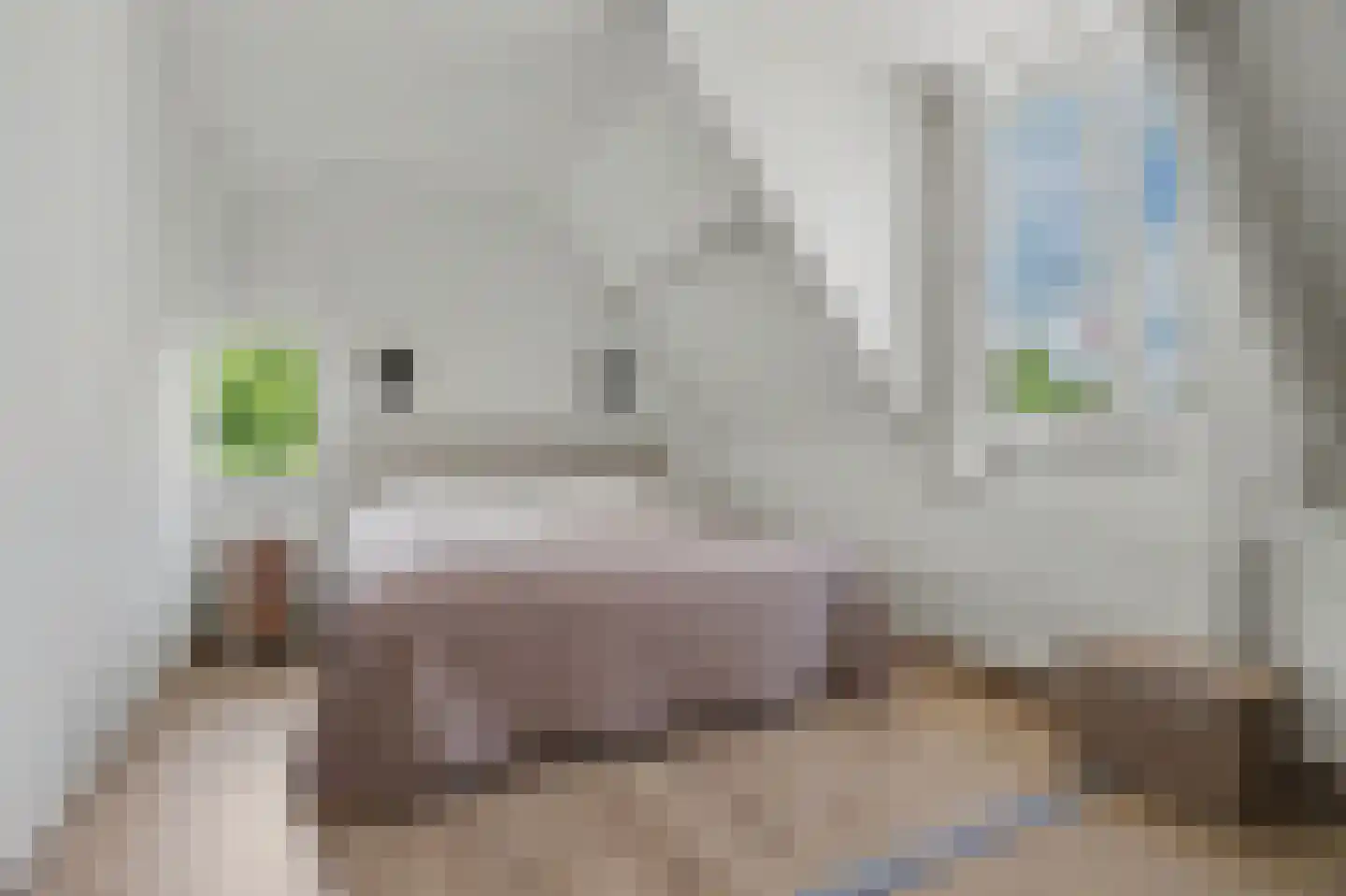 Gastelaar 12 Alphen thumbnail 6