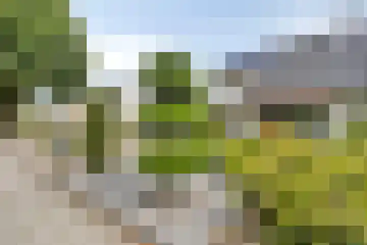 Gastelepad 1 Someren thumbnail 10