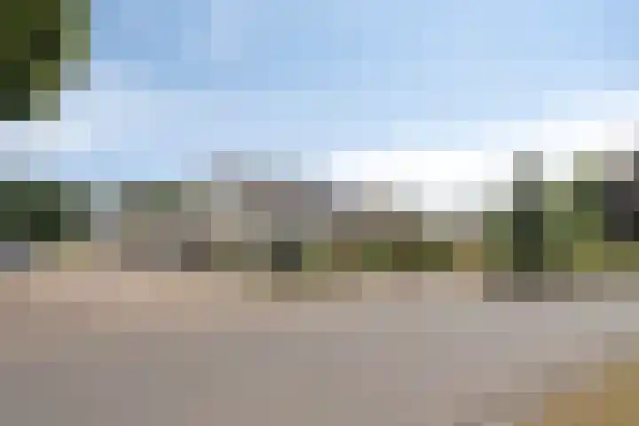 Gastelepad 1 Someren thumbnail 11