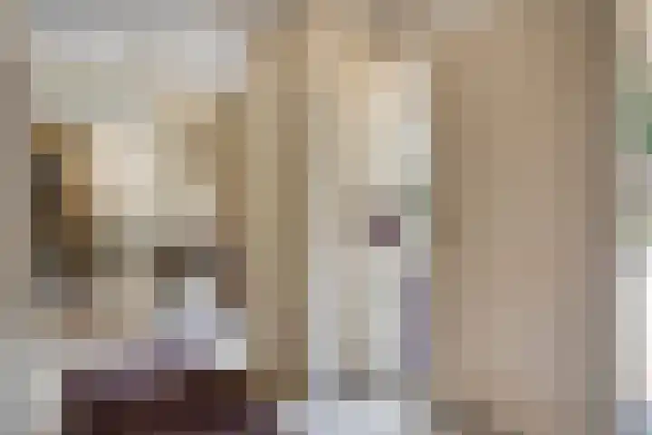 Gastelepad 1 Someren thumbnail 13