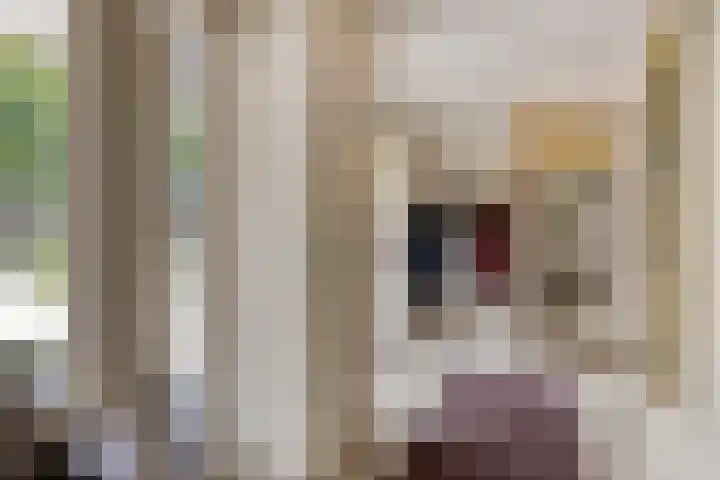 Gastelepad 1 Someren thumbnail 15