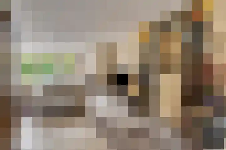 Gastelepad 1 Someren thumbnail 17