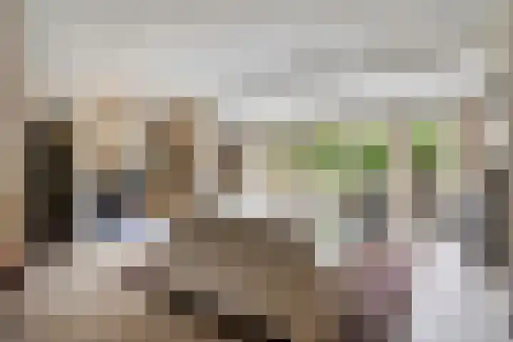 Gastelepad 1 Someren thumbnail 18