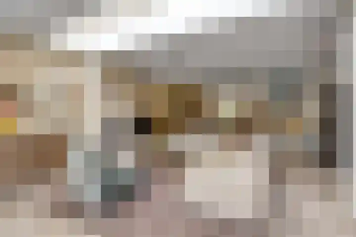 Gastelepad 1 Someren thumbnail 20