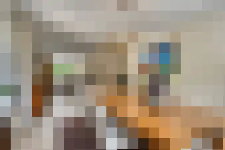 Gastelepad 1 Someren thumbnail 25