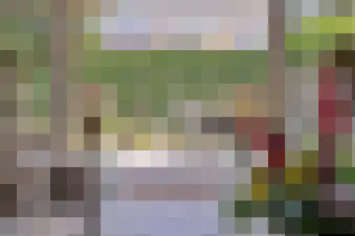 Gastelepad 1 Someren thumbnail 32