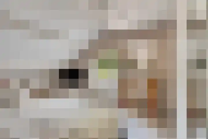 Gastelepad 1 Someren thumbnail 36