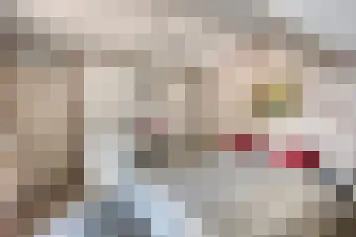 Gastelepad 1 Someren thumbnail 37