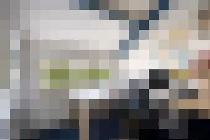 Gastelepad 1 Someren thumbnail 43