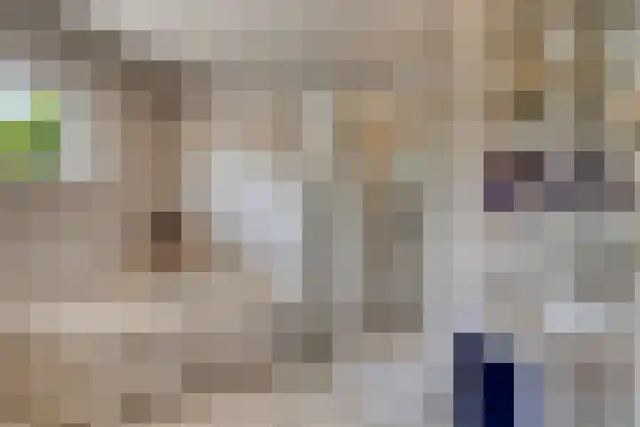 Gastelepad 1 Someren thumbnail 44