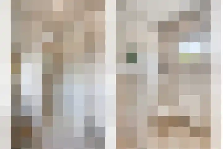 Gastelepad 1 Someren thumbnail 46