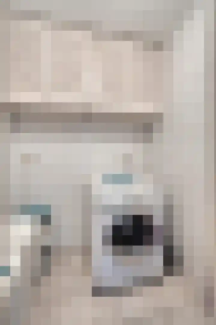 Gastelepad 1 Someren thumbnail 47