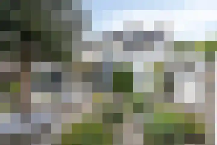 Gastelepad 1 Someren thumbnail 51