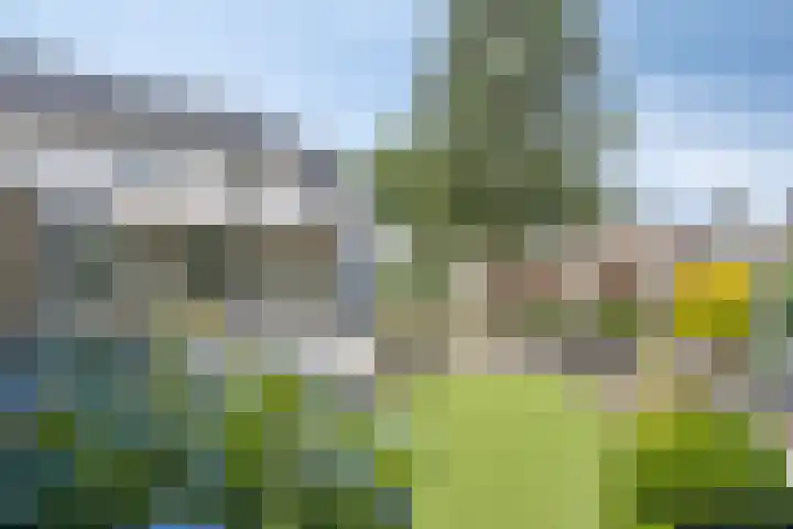 Gastelepad 1 Someren thumbnail 52