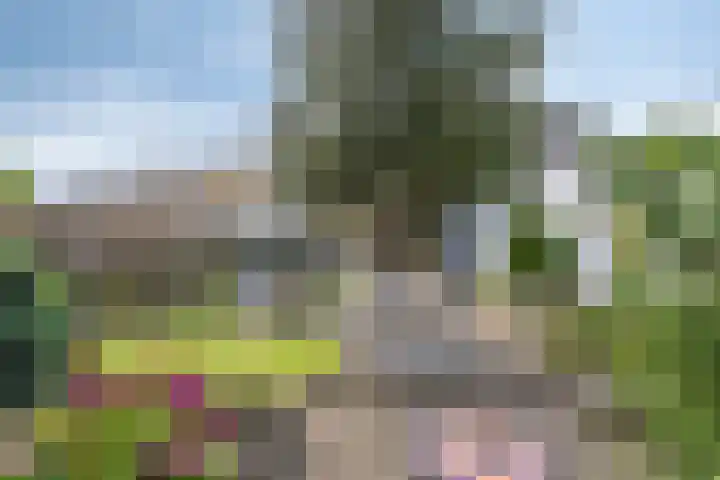 Gastelepad 1 Someren thumbnail 53