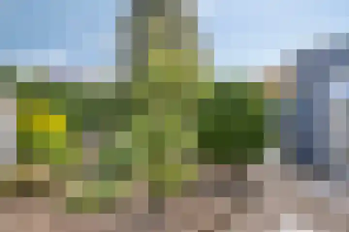 Gastelepad 1 Someren thumbnail 54