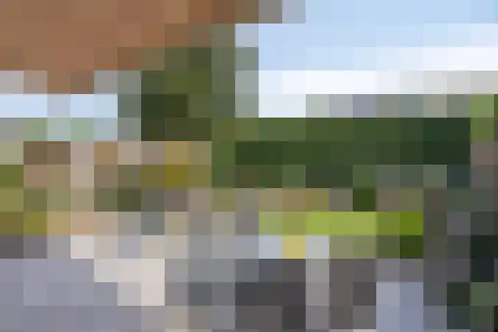 Gastelepad 1 Someren thumbnail 55