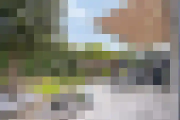 Gastelepad 1 Someren thumbnail 56